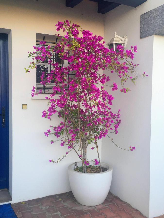 Haritza Bed & Breakfast Anglet Exterior foto